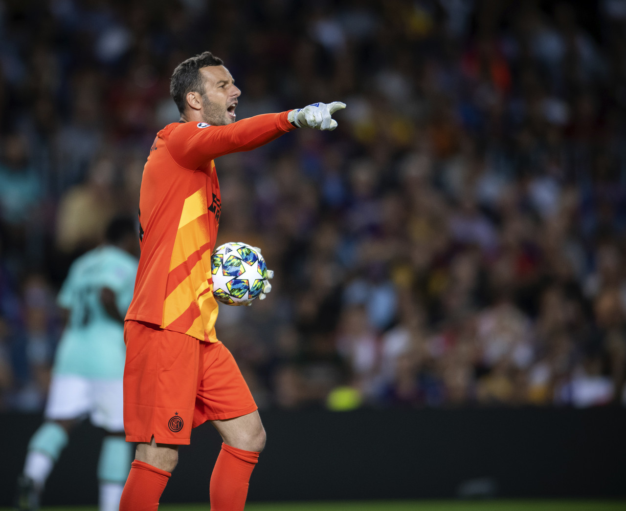 信心并非无 信心并非无