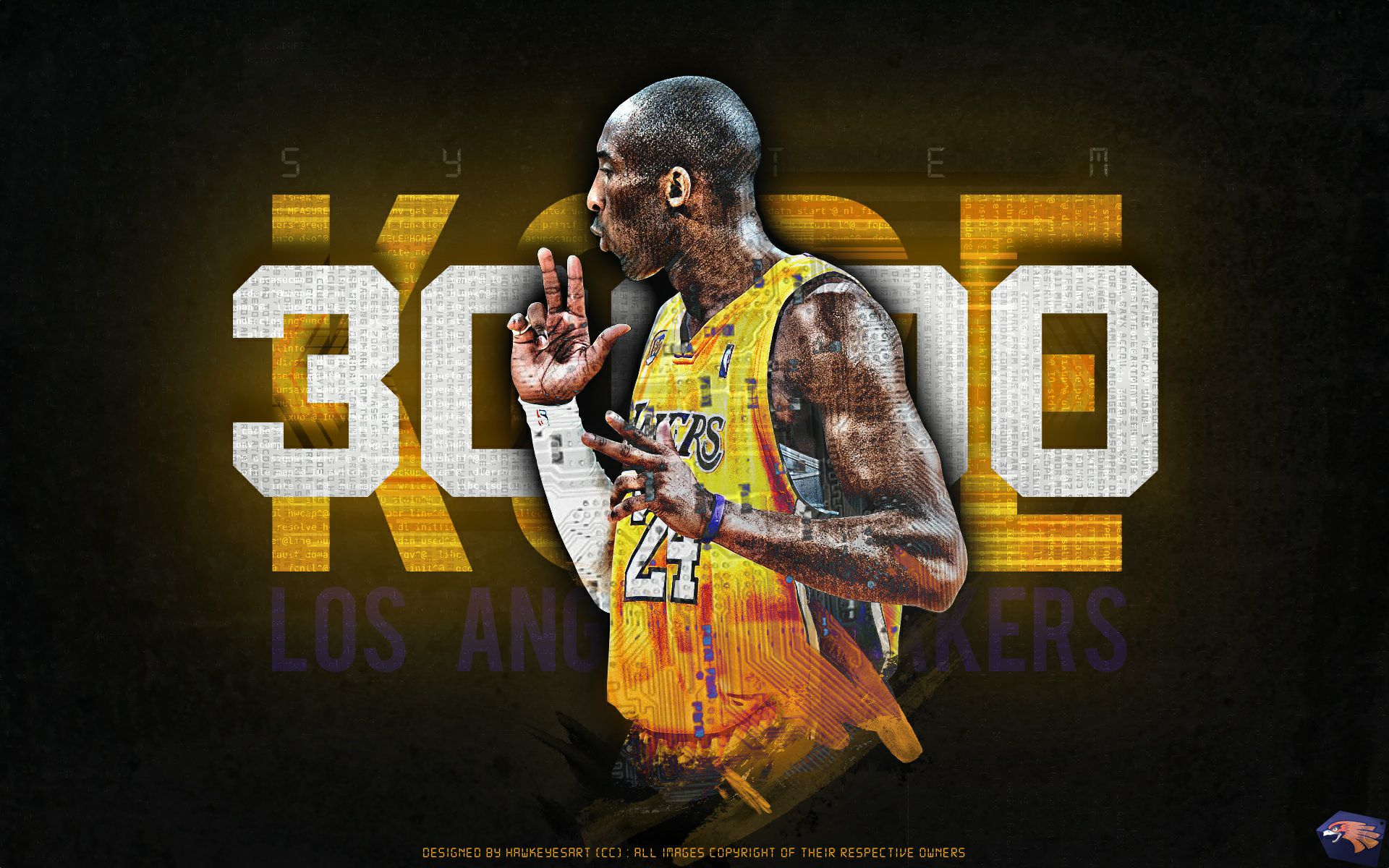 赛的一大亮 赛的一大亮